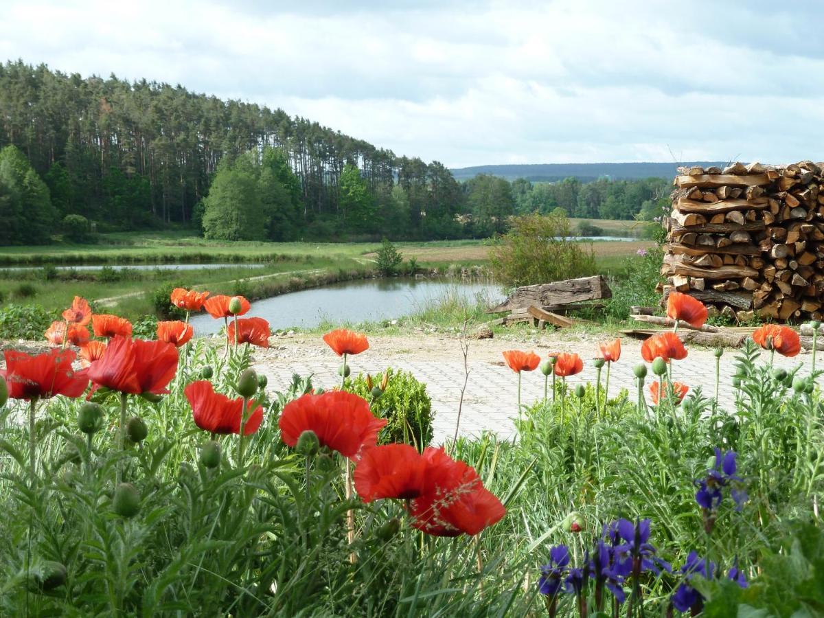 נוינבורג וורם ואלד Ferienwohnungen Am Buechlhof Im Oberpfaelzer Seenland מראה חיצוני תמונה