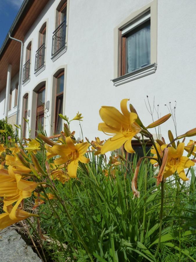 נוינבורג וורם ואלד Ferienwohnungen Am Buechlhof Im Oberpfaelzer Seenland מראה חיצוני תמונה